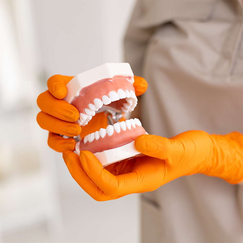Dental professional holding artificial teeth model with orange gloves during implant consultation